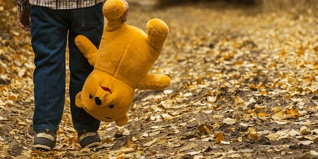 child, teddy bear, autumn