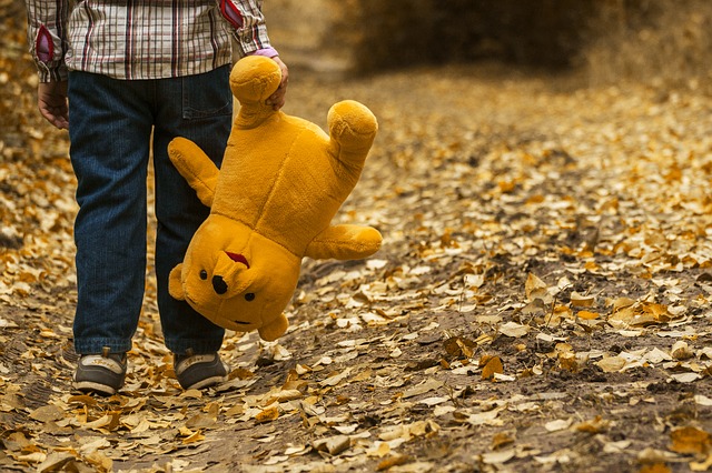 child, teddy bear, autumn